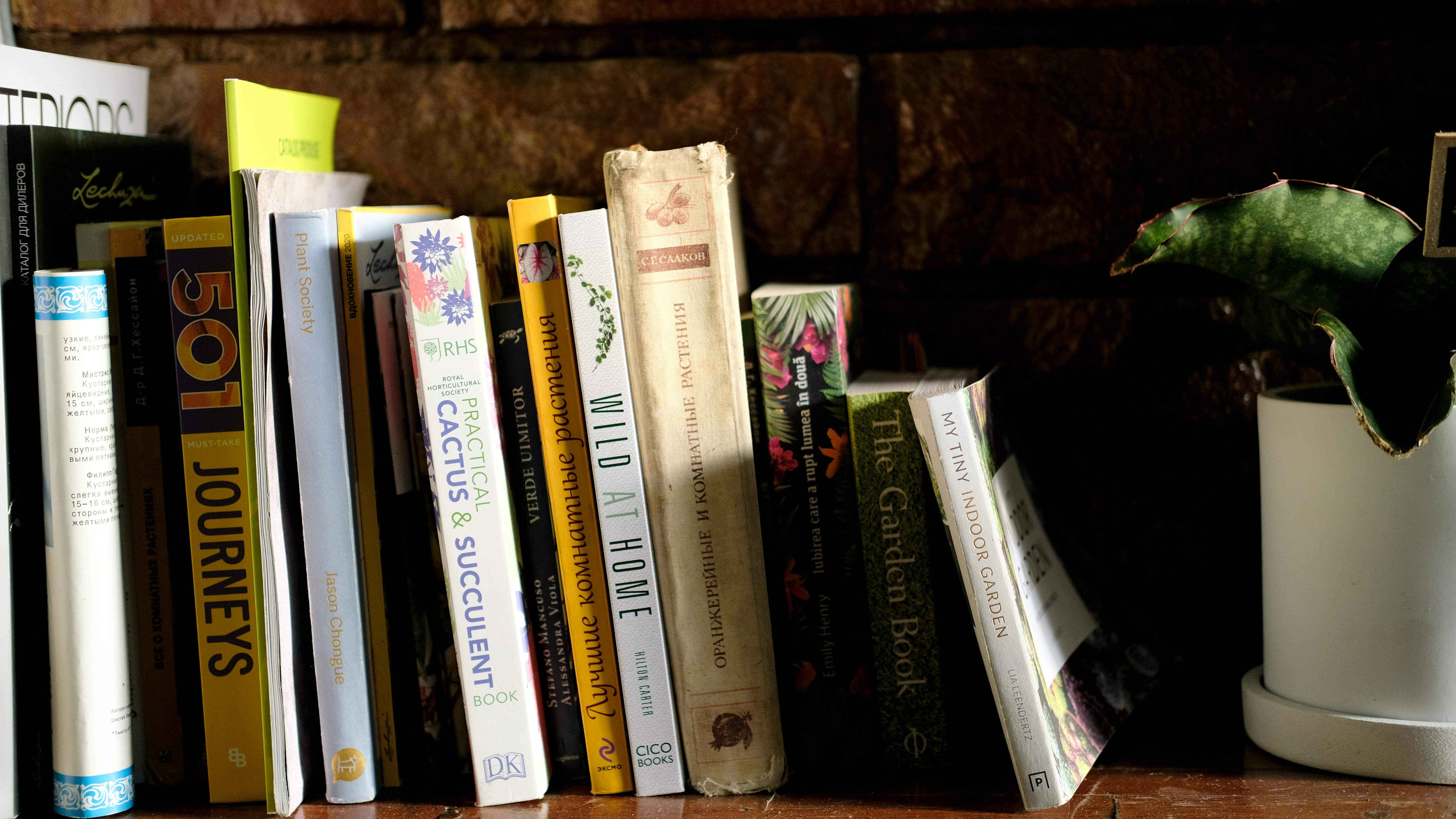Libros