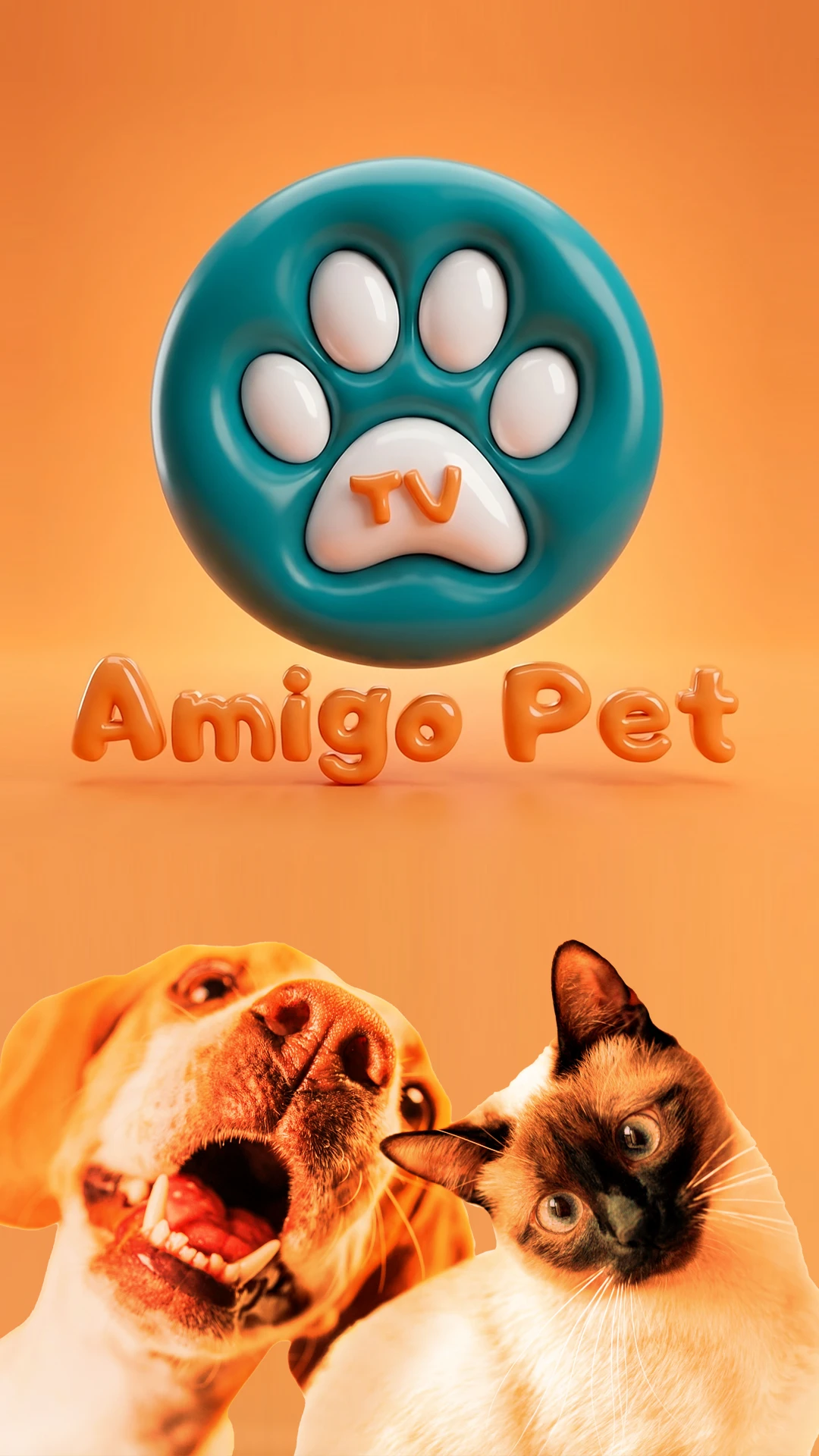 amigo pet