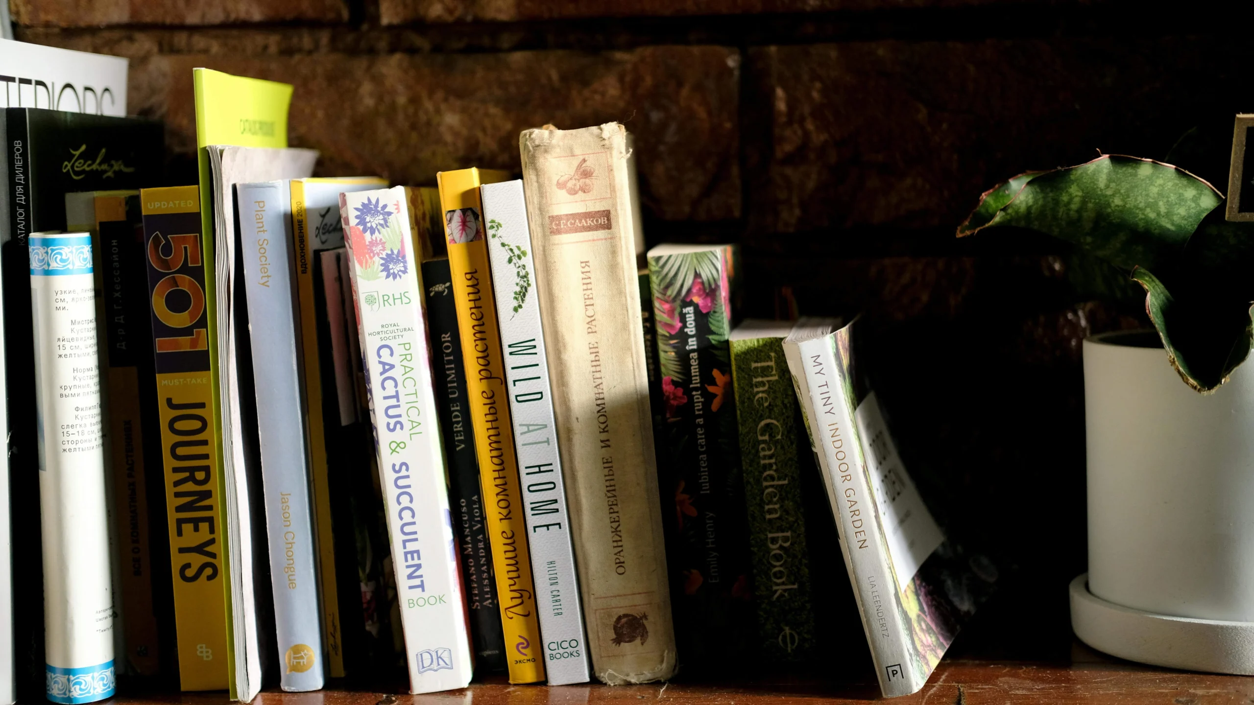 Libros